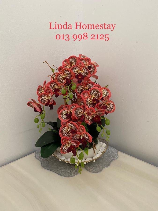 Lh Homestay Bandar Utama גואה מואסנג מראה חיצוני תמונה